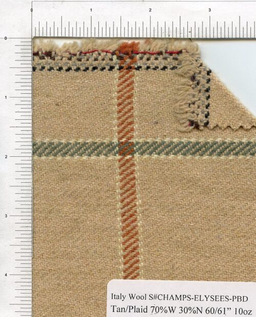 CHAMPS-ELYSEES-PBD-0